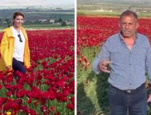 Gelincik tarlasından yardımlaşma daveti yapan Gülben Ergen’e tarla sahibinden reaksiyon