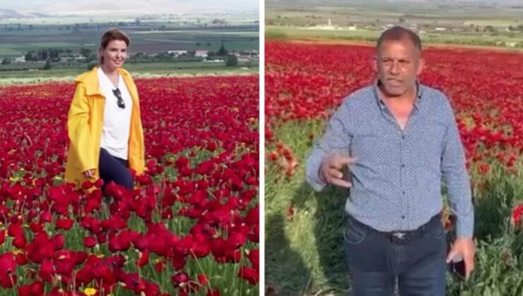 Gelincik tarlasından yardımlaşma daveti yapan Gülben Ergen’e tarla sahibinden reaksiyon