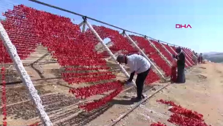 Gaziantep’te Kurutmalık Sebzelerin Üretimi Artıyor