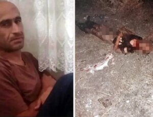 Sokak köpekleri parçalayarak öldürmüştü! Şanssız adamın yaşadığı vahşet hastane raporunda