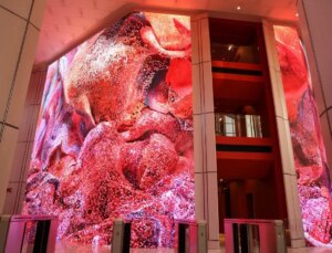 Refik Anadol’un Yapay Zeka Sanat Yapıtı Akbank Genel Müdürlüğü’nde Tanıtıldı