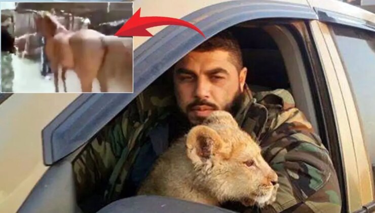 Esirleri aslanlara yediriyordu! Esad’ın kumandanının kan donduran imajları